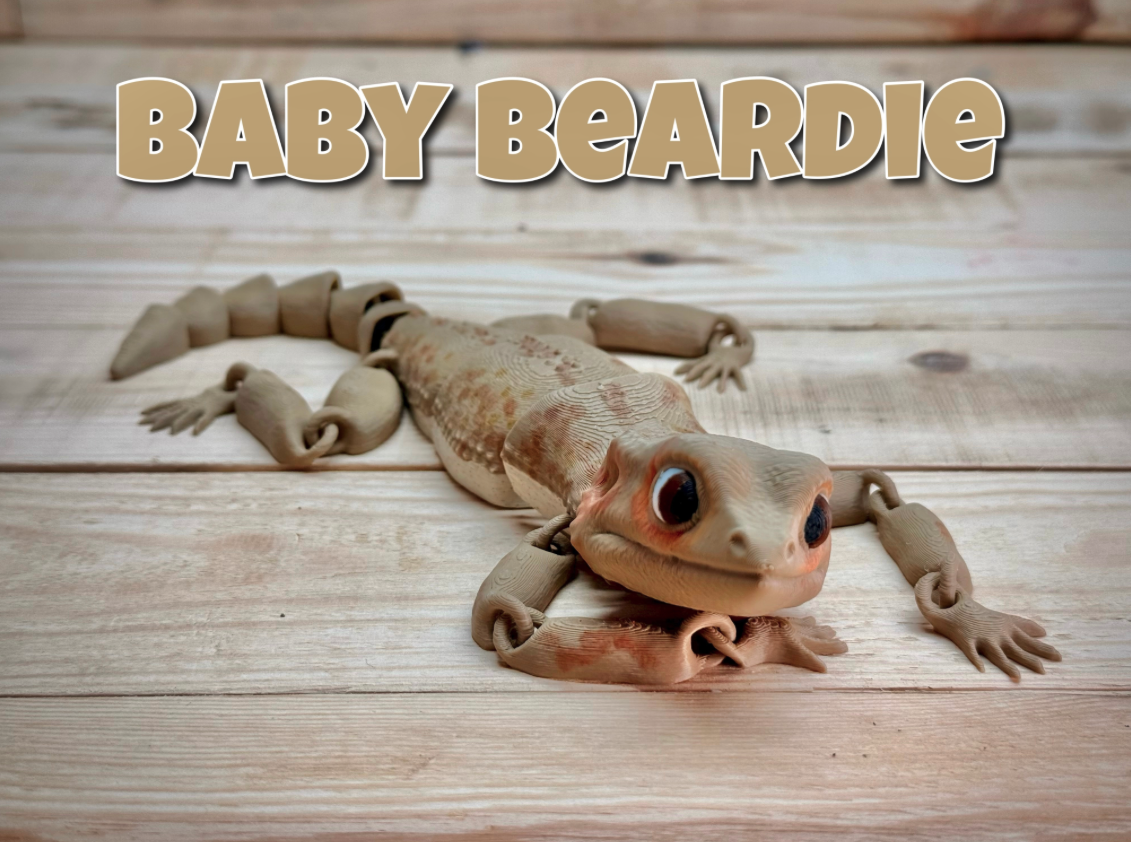 Baby Beardie (bearded dragon)